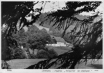 8n13sw1_1960_Gasthaus zur Schwingerei_v.jpg